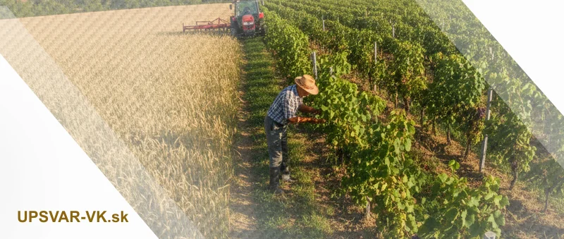 Poľnohospodárstvo a vinohradníctvo v okrese Veľký Krtíš